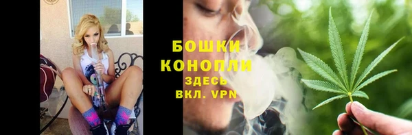 дживик Белокуриха