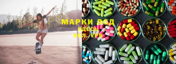 дживик Белокуриха