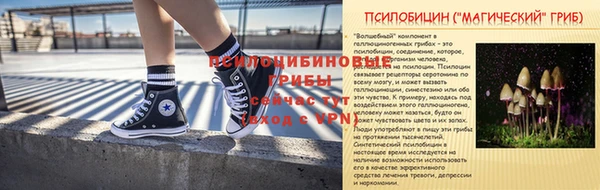 дживик Белокуриха