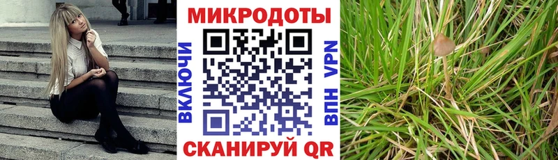 omg сайт  Михайлов  Псилоцибиновые грибы GOLDEN TEACHER  продажа наркотиков 